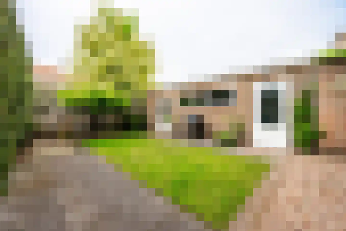 Griffensteijnselaan 74 Zeist thumbnail 37
