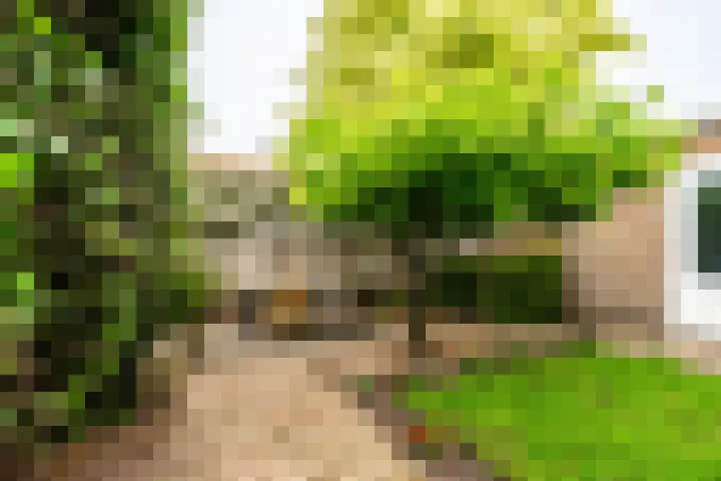 Griffensteijnselaan 74 Zeist thumbnail 38