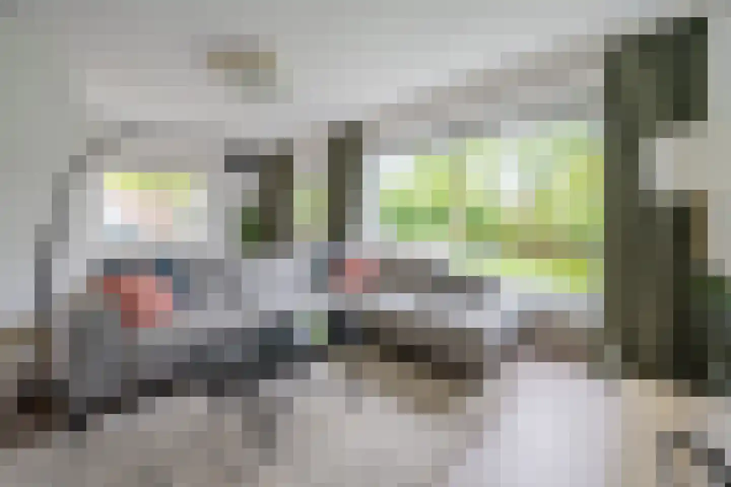 Griffensteijnselaan 74 Zeist thumbnail 4