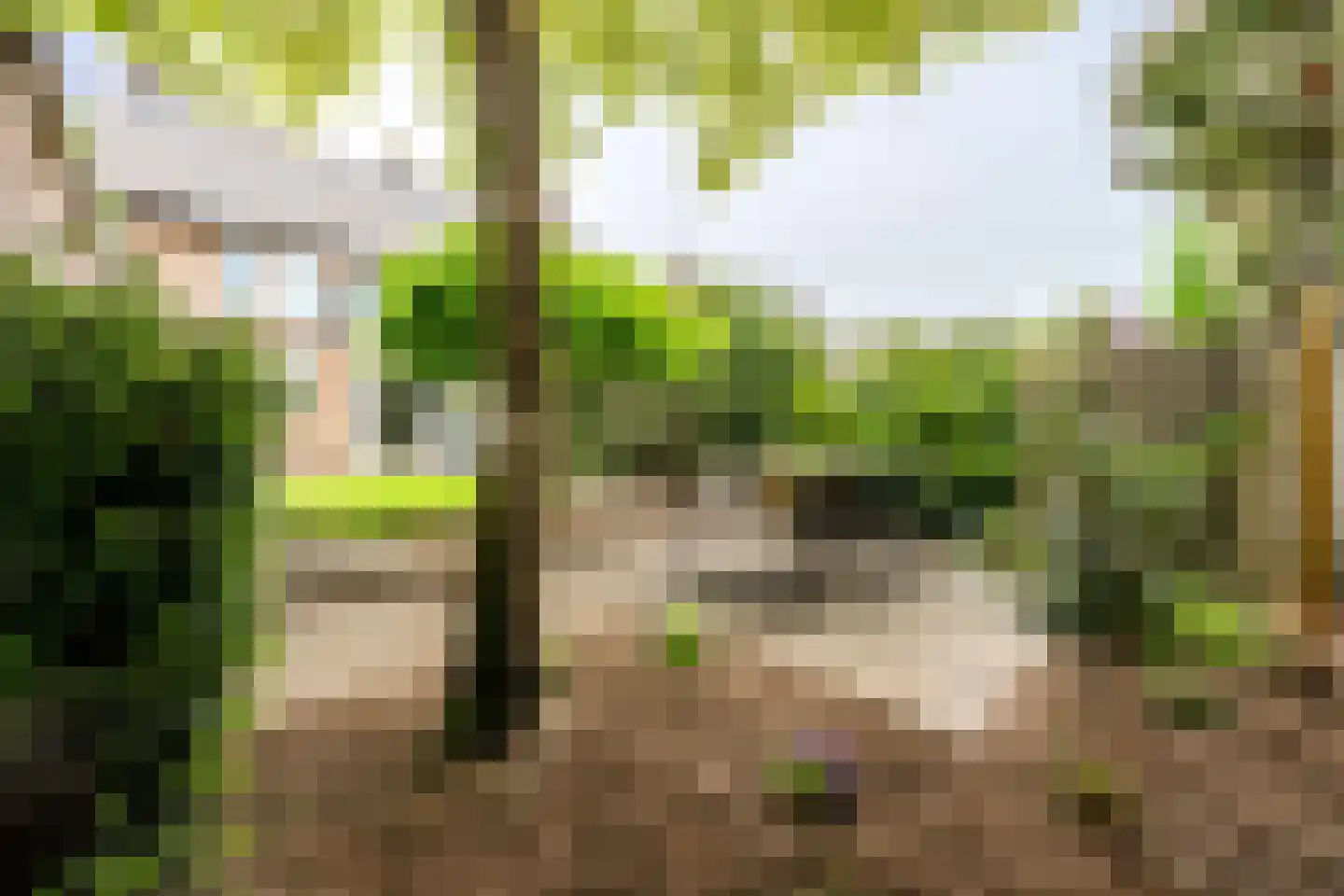 Griffensteijnselaan 74 Zeist thumbnail 41