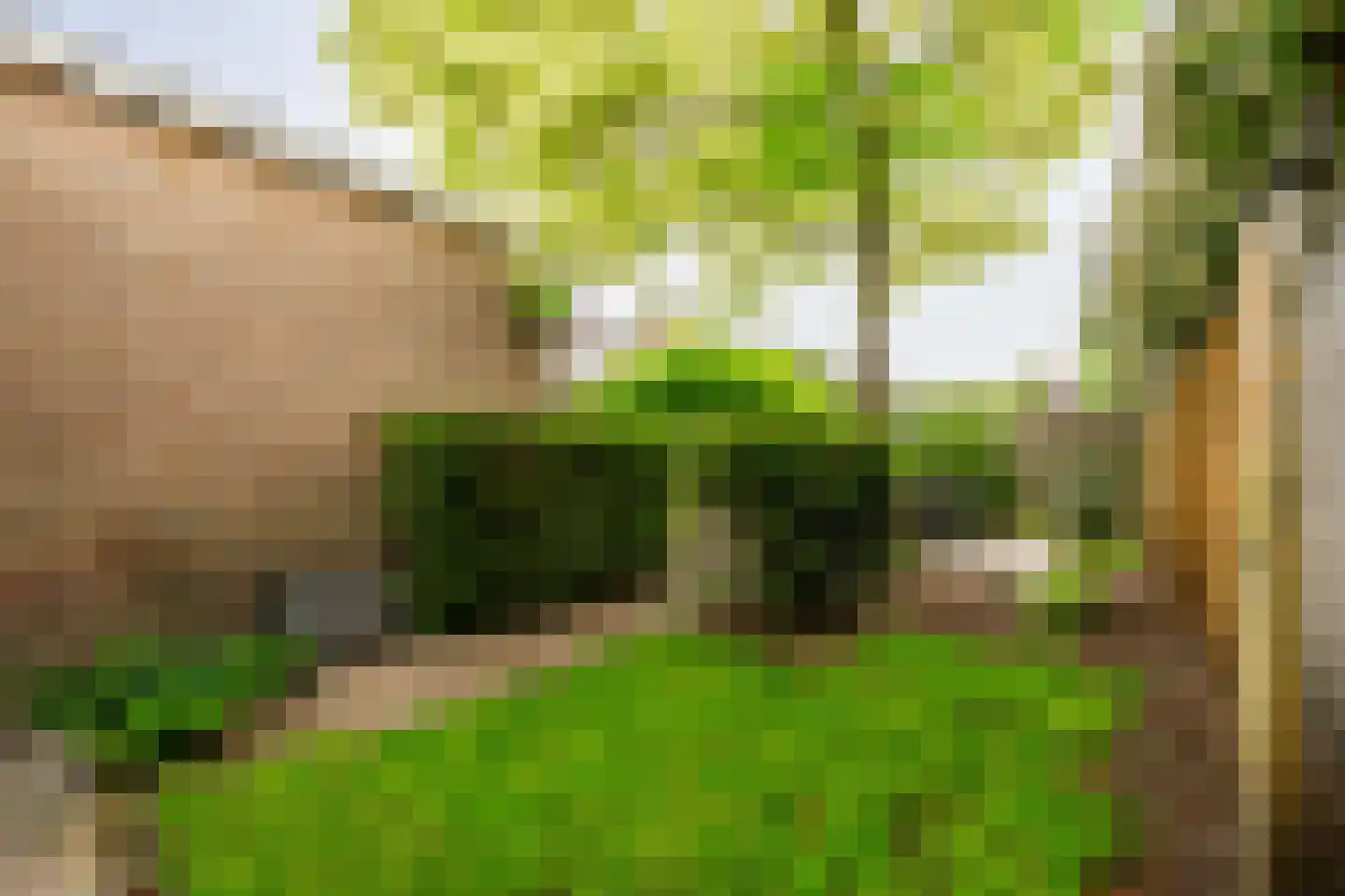 Griffensteijnselaan 74 Zeist thumbnail 42