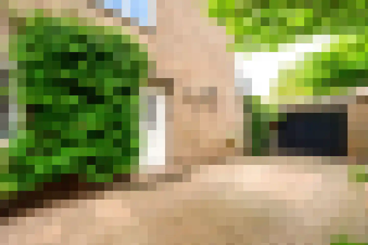 Griffensteijnselaan 74 Zeist thumbnail 44