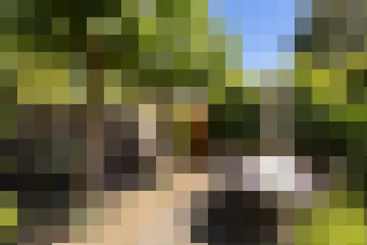 Griffensteijnseplein 5 Zeist thumbnail 33