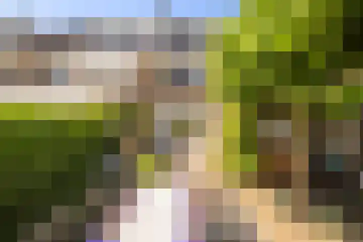 Griffensteijnseplein 5 Zeist thumbnail 34