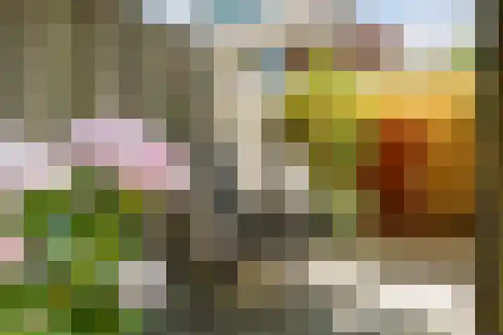 Griffensteijnseplein 5 Zeist thumbnail 35