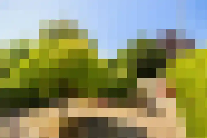 Griffensteijnseplein 5 Zeist thumbnail 38
