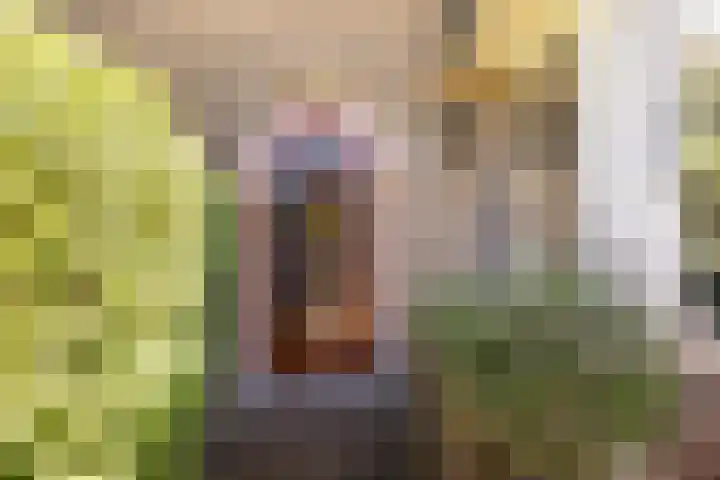 Griffensteijnseplein 5 Zeist thumbnail 4