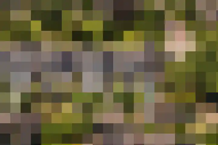 Griffensteijnseplein 5 Zeist thumbnail 43