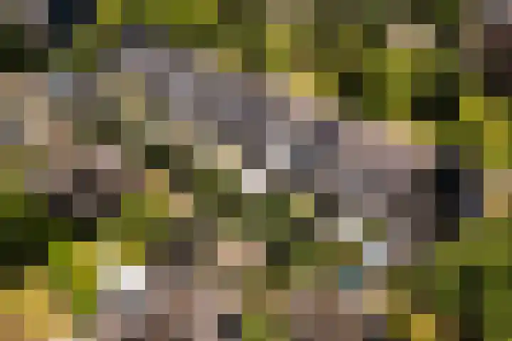 Griffensteijnseplein 5 Zeist thumbnail 44