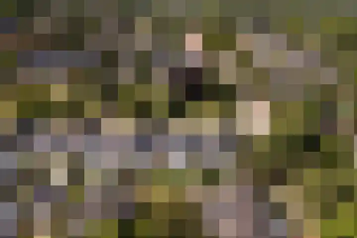 Griffensteijnseplein 5 Zeist thumbnail 45