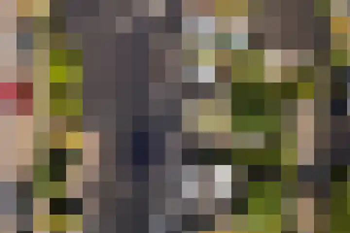 Griffensteijnseplein 5 Zeist thumbnail 46