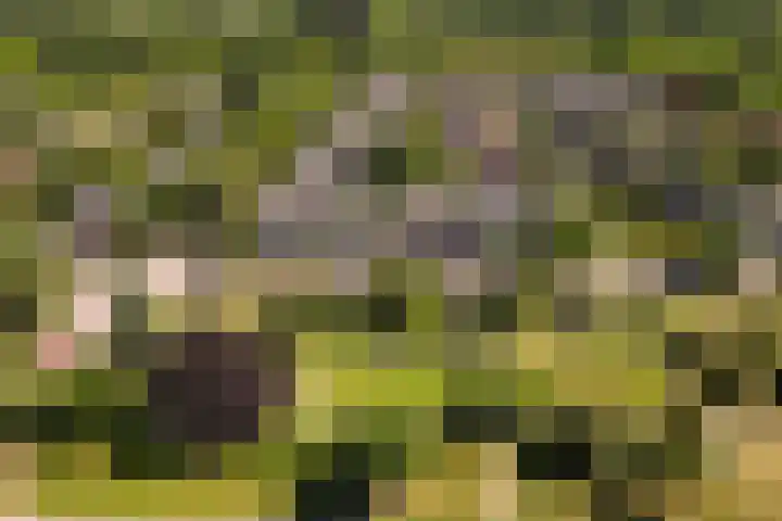 Griffensteijnseplein 5 Zeist thumbnail 48