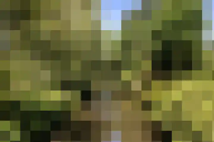 Griffensteijnseplein 5 Zeist thumbnail 51