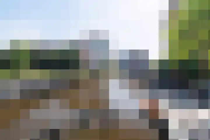 Griffeweg 18 Groningen thumbnail 38