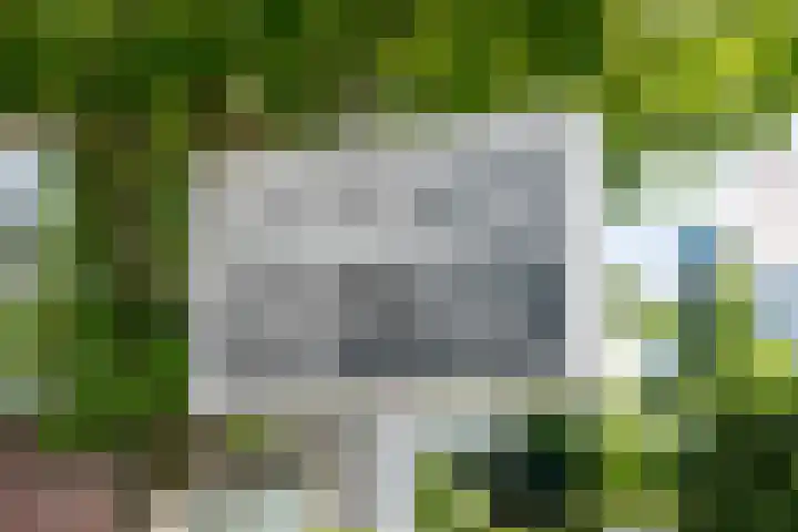 Griffeweg 18 Groningen thumbnail 7
