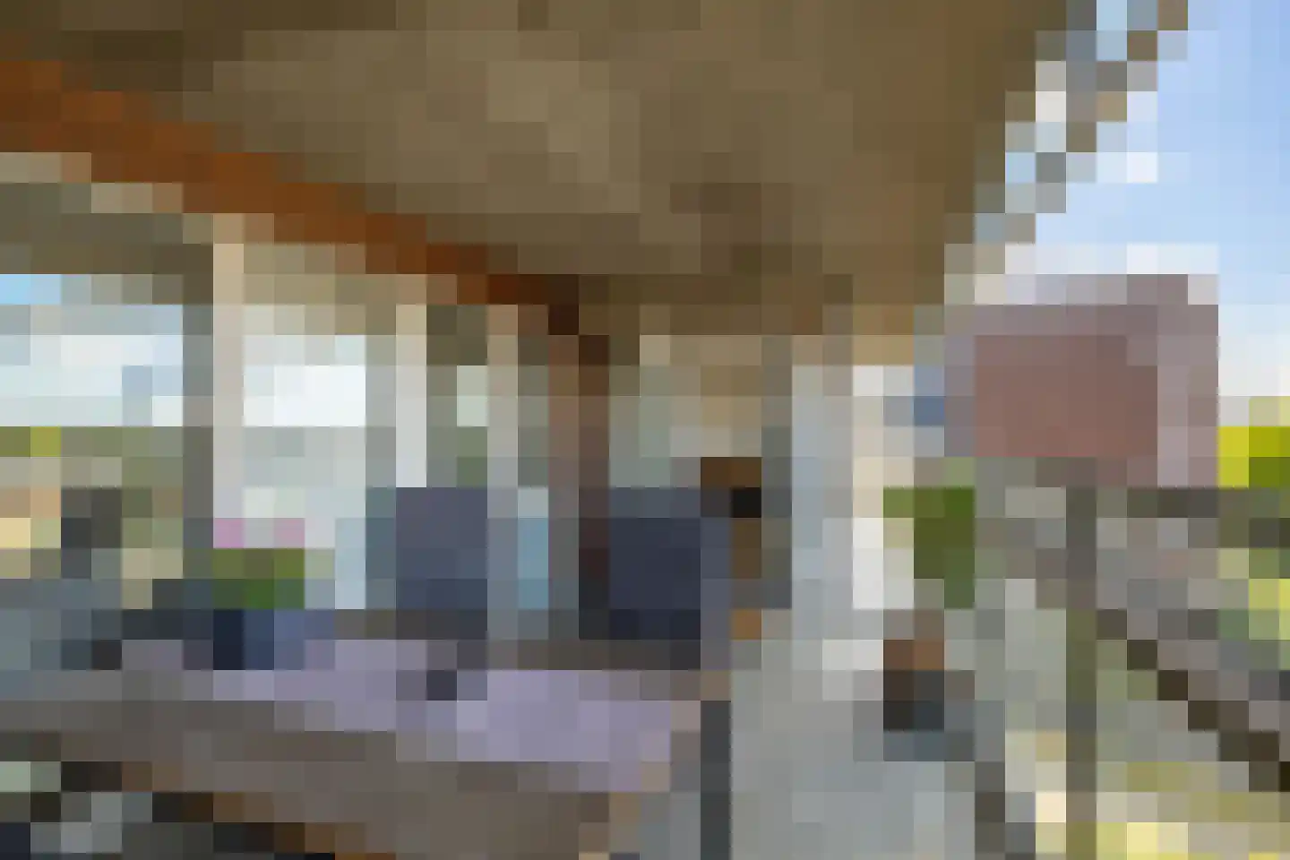 Griffeweg 38 Groningen thumbnail 31