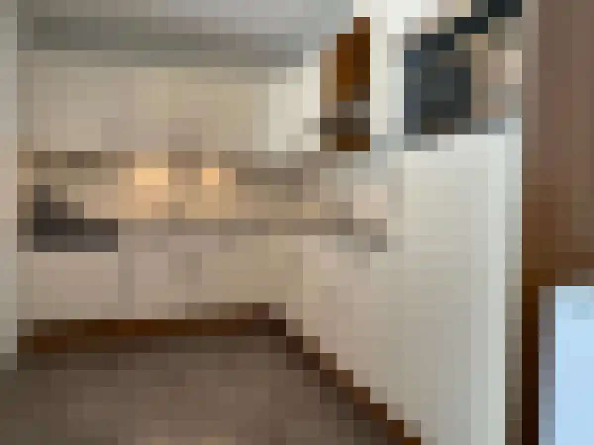 Griffeweg 48 Groningen thumbnail 5