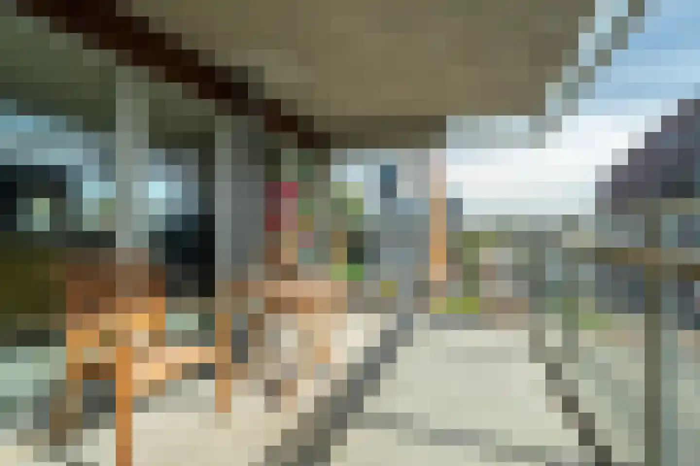 Griffeweg 50 Groningen thumbnail 29