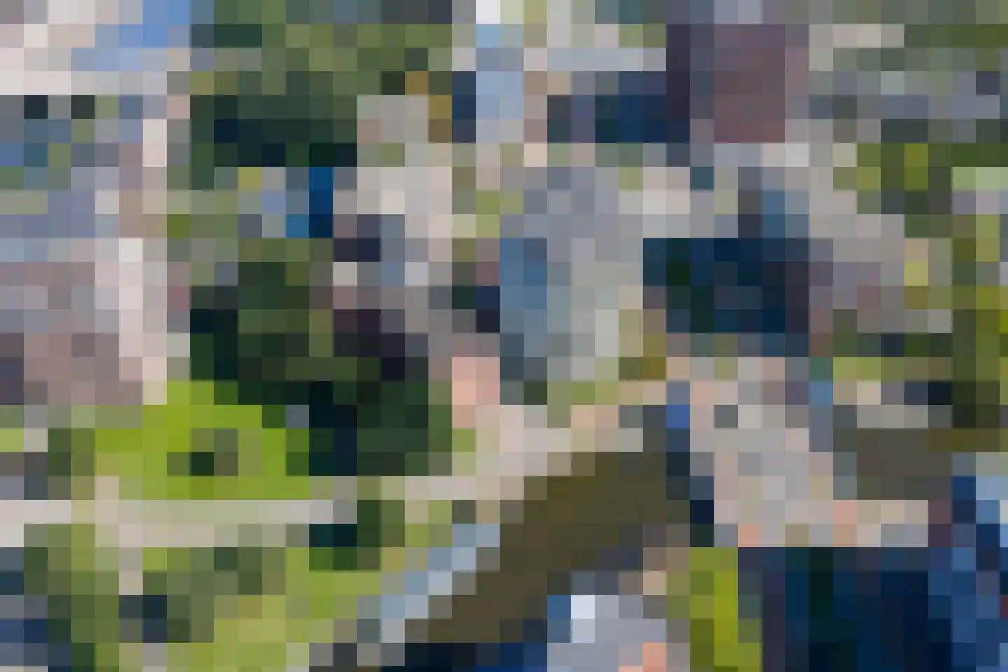 Griffeweg 50 Groningen thumbnail 50
