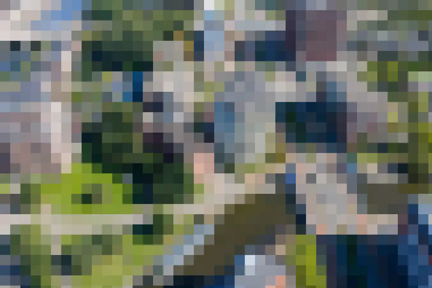Griffeweg 50 Groningen thumbnail 50