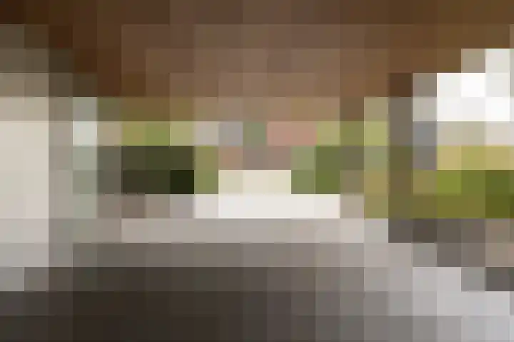 Griffeweg 52 Groningen thumbnail 40