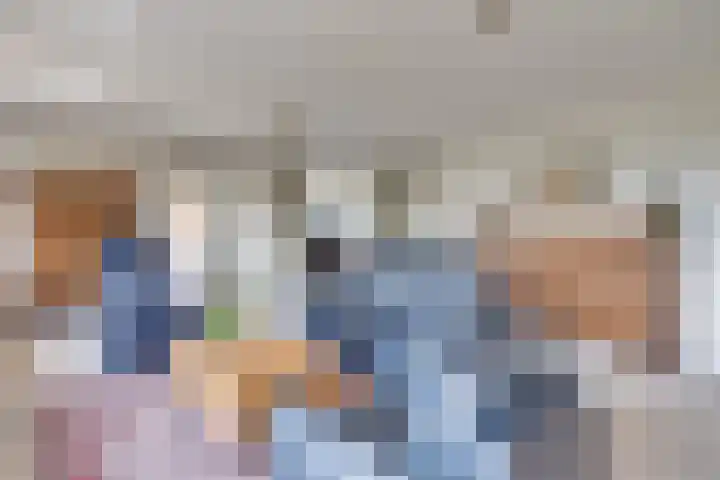 Griffioen 24 Uden thumbnail 13