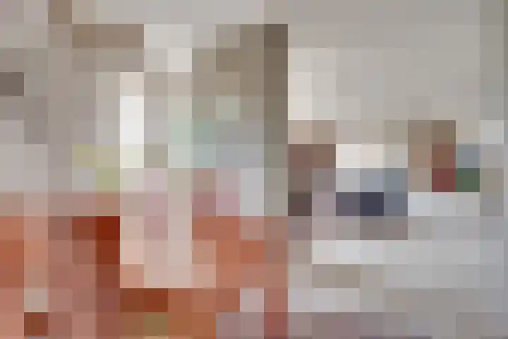 Griffioen 24 Uden thumbnail 17