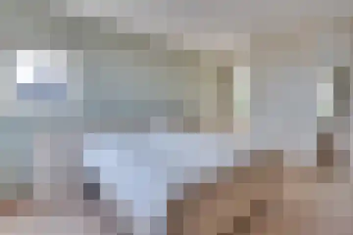 Griffioen 24 Uden thumbnail 22