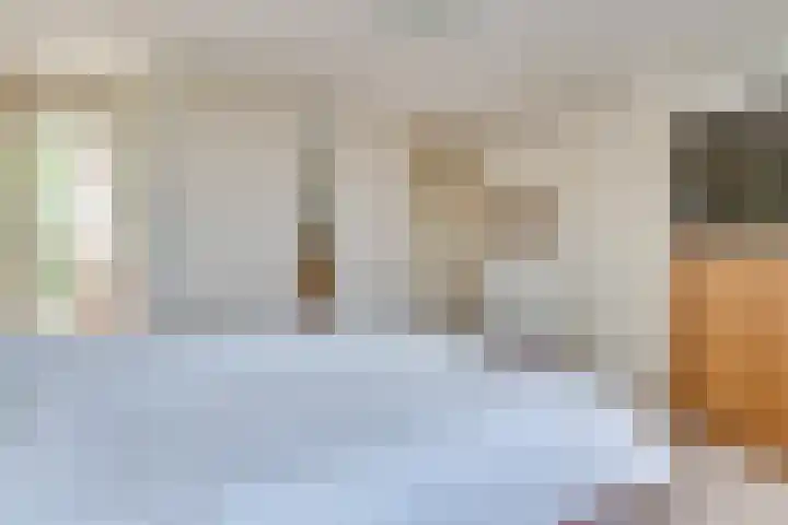 Griffioen 24 Uden thumbnail 23