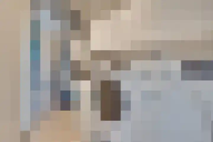 Griffioen 24 Uden thumbnail 29