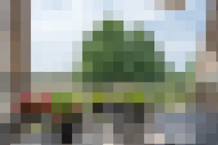 Griffioen 24 Uden thumbnail 31