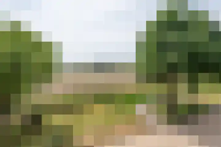 Griffioen 24 Uden thumbnail 32