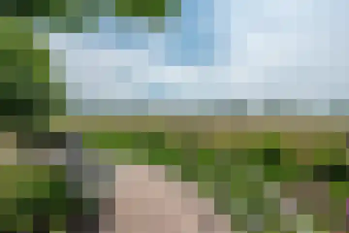 Griffioen 24 Uden thumbnail 34