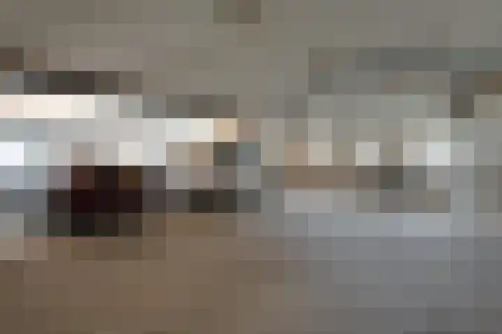 Griffioen 24 Uden thumbnail 35