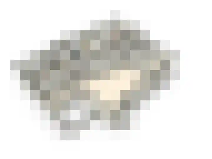 Griffioen 24 Uden thumbnail 37