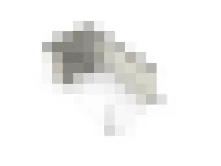 Griffioen 24 Uden thumbnail 40