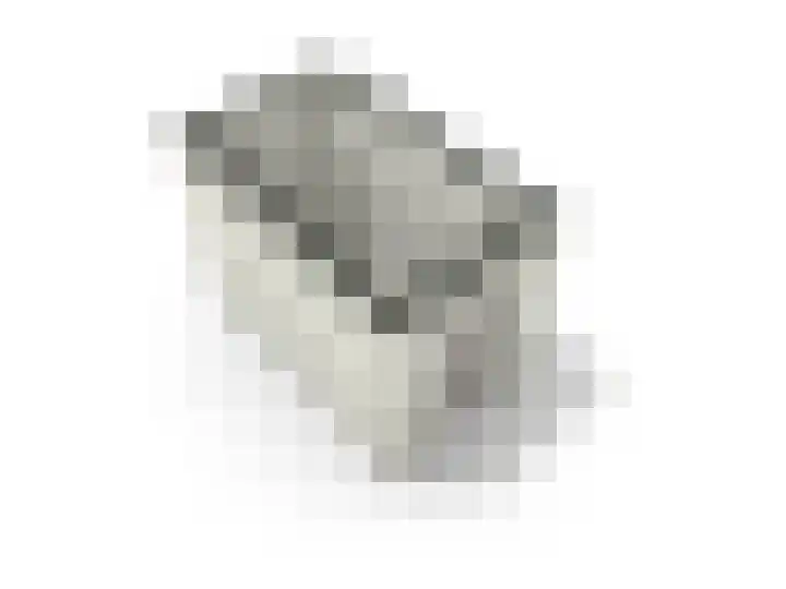 Griffioen 24 Uden thumbnail 42