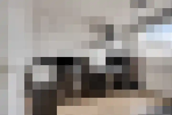 Griffioen 5 Leiderdorp thumbnail 16