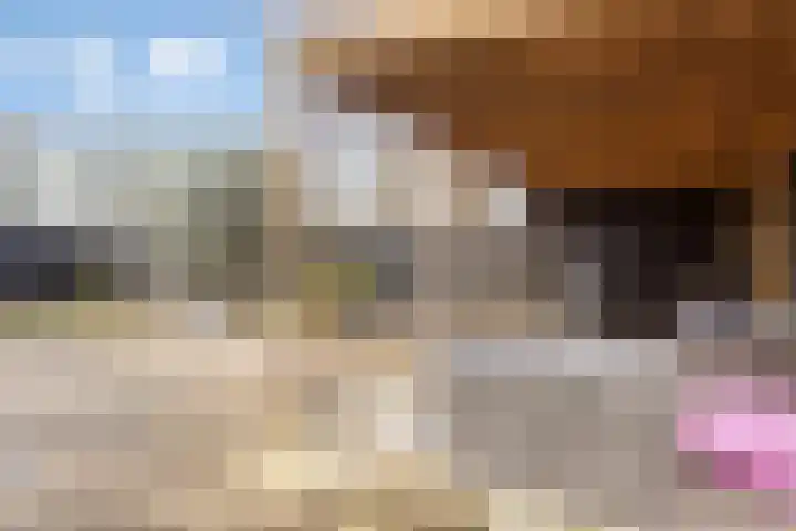 Griffioen 5 Leiderdorp thumbnail 22