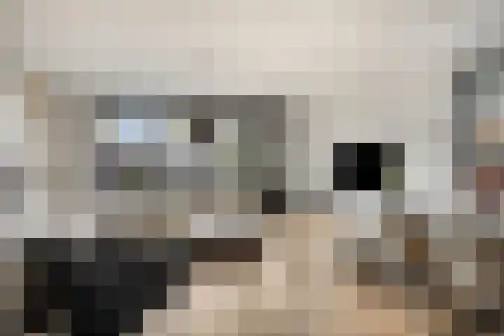 Griffioen 5 Leiderdorp thumbnail 4