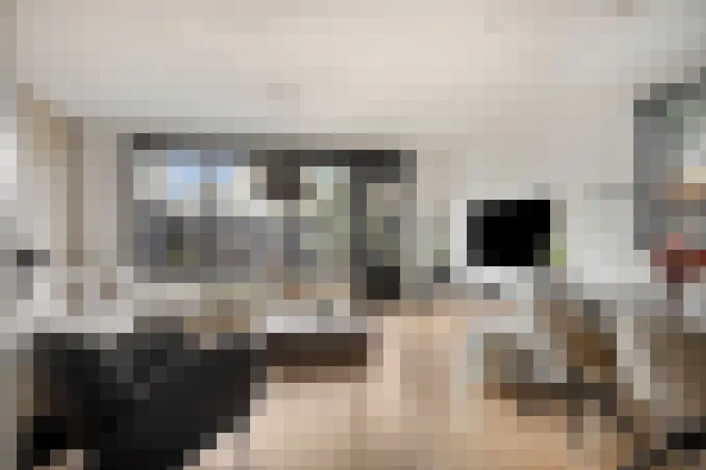 Griffioen 5 Leiderdorp thumbnail 4