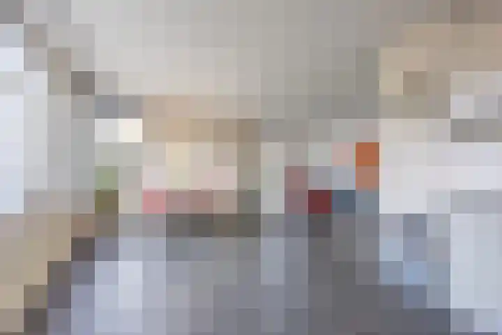 Griffioen 9 Uden thumbnail 13