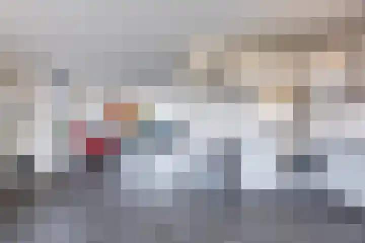 Griffioen 9 Uden thumbnail 14