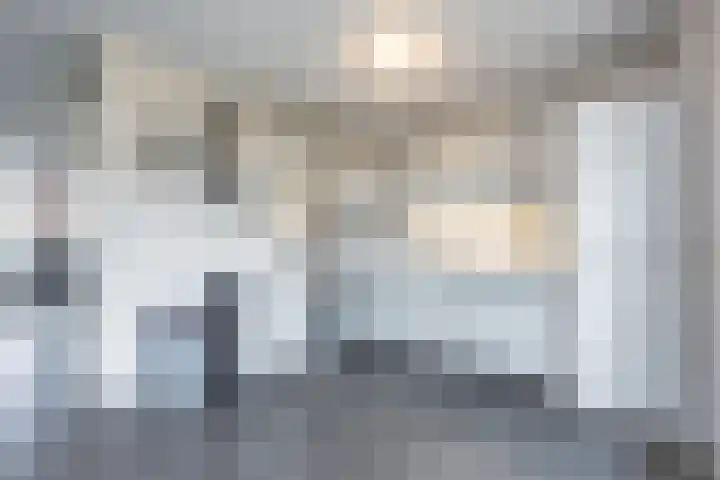 Griffioen 9 Uden thumbnail 15