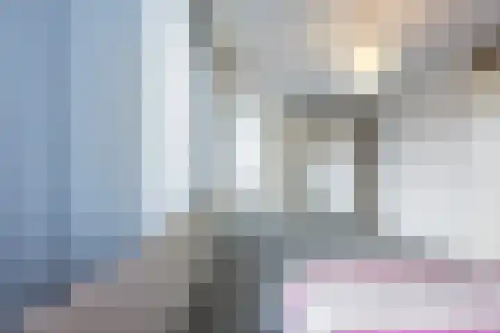Griffioen 9 Uden thumbnail 17