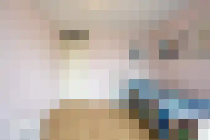 Griffioen 9 Uden thumbnail 19