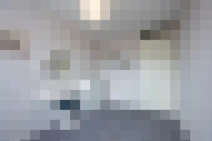 Griffioen 9 Uden thumbnail 21