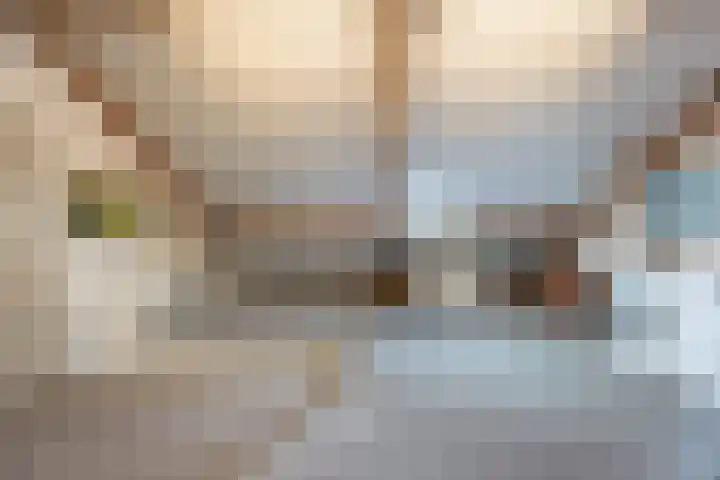 Griffioen 9 Uden thumbnail 27