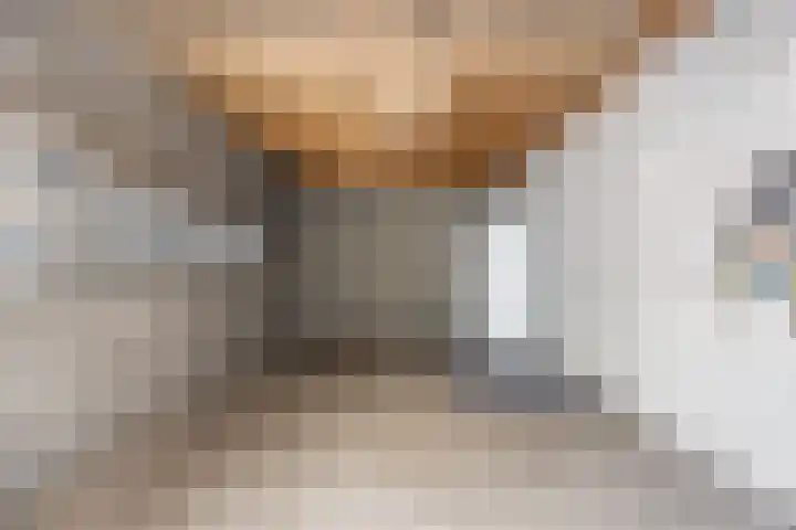 Griffioen 9 Uden thumbnail 28