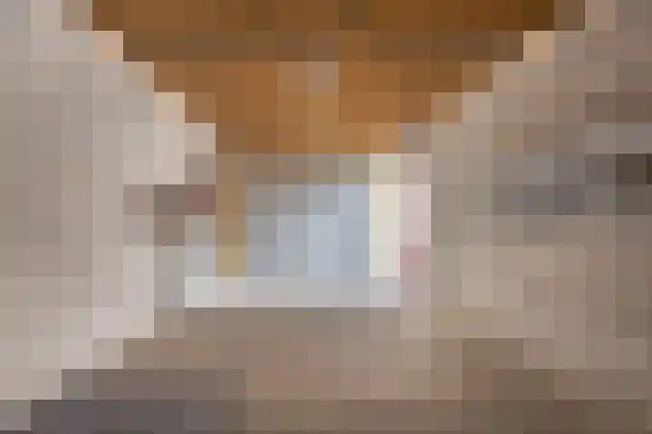 Griffioen 9 Uden thumbnail 29